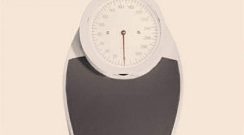 Immobilier-Logistique