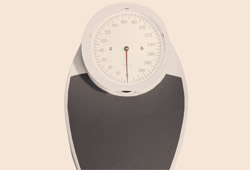 Immobilier-Logistique