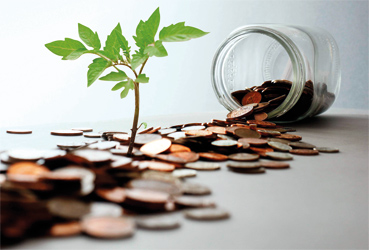 Patrimoine - Fiscalité