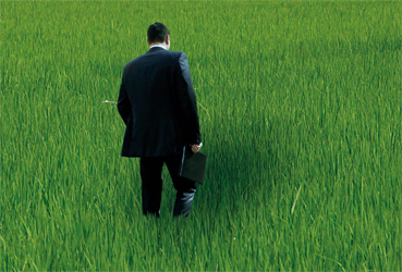 Développement durable - RSE