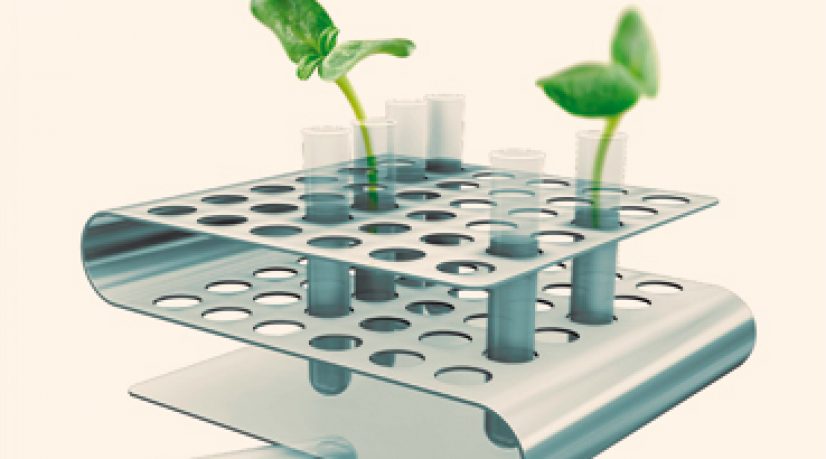 Création d’entreprise - Haut de bilan