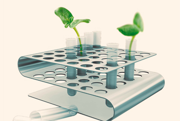 Création d'entreprise - Haut de bilan