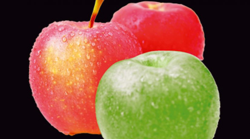 Ressources humaines - Recrutement