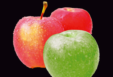 Ressources humaines - Recrutement