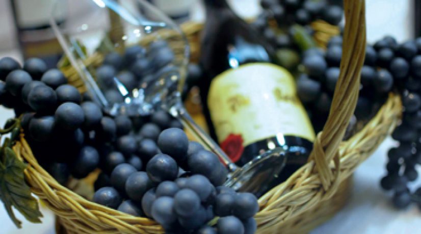 Art de vivre & viticulture - Vins bio