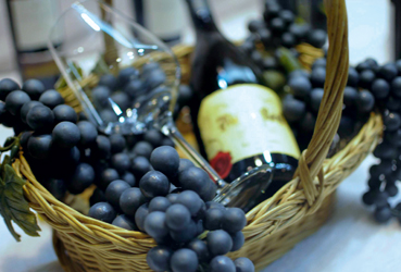 Art de vivre & viticulture - Vins bio