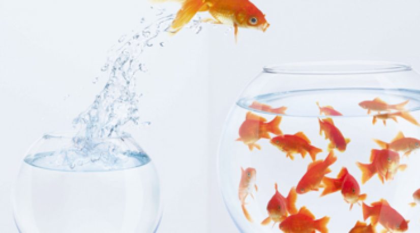 Services généraux - Externalisation