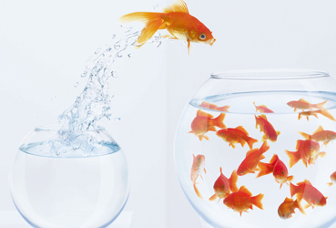 Services généraux - Externalisation