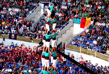 Fusions & acquisitions - Management