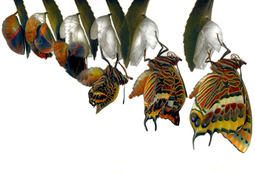 Stratégie - Industrie