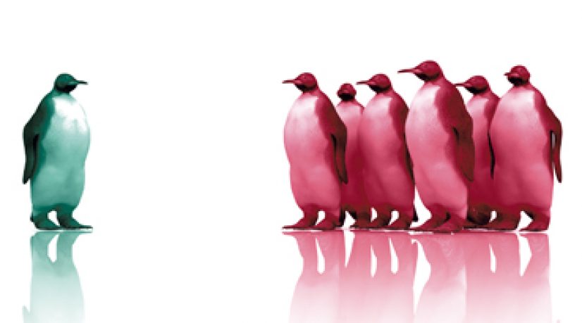 Stratégie - Franchise