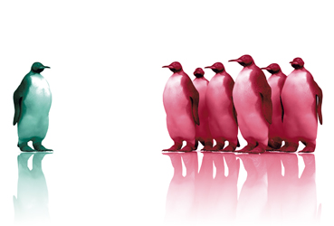 Stratégie -  Franchise