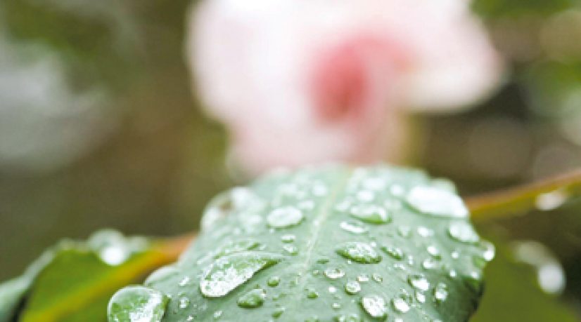 développement durable - Normes & certifications