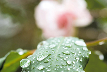 développement durable - Normes & certifications