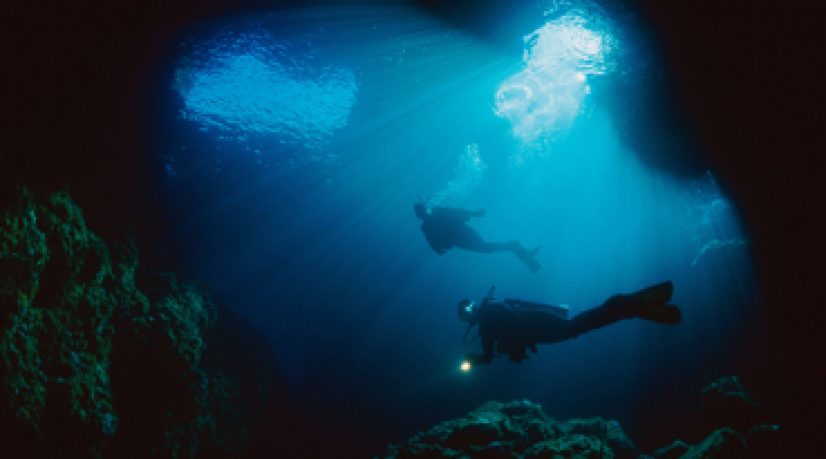 Art de vivre & tourisme - Plongée