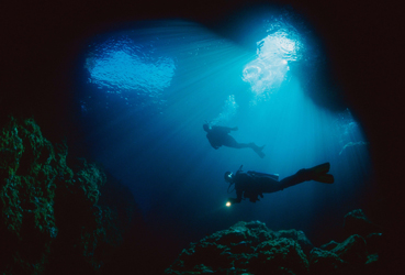 Art de vivre & tourisme - Plongée