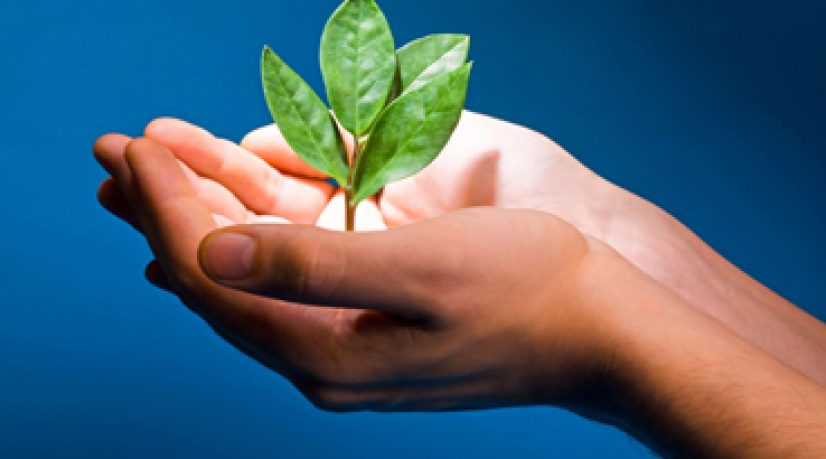 associations & fondations