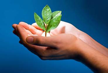 associations & fondations