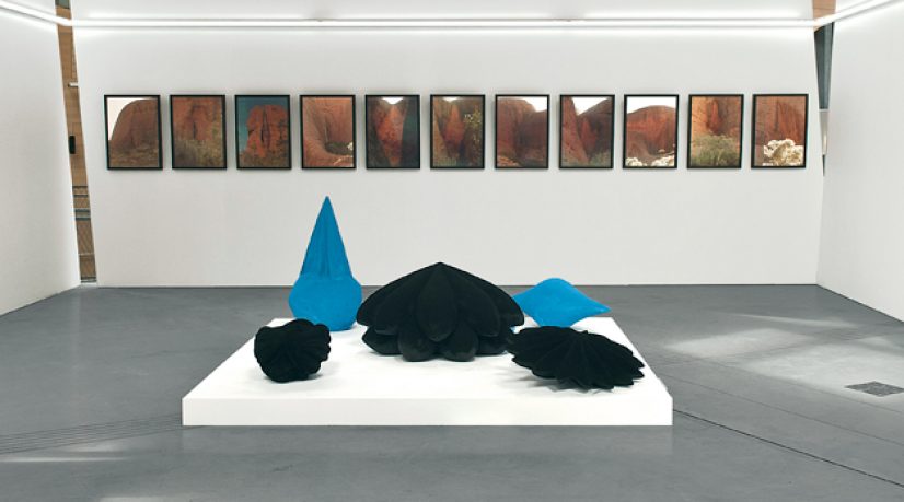 Anish Kapoor, "Full", 1983 (1er plan) - Sigmar Polke, "Les Olgas", 1981