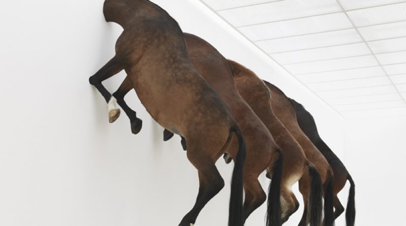Cattelan