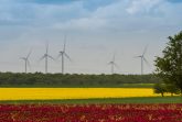 Champs d'éoliennes