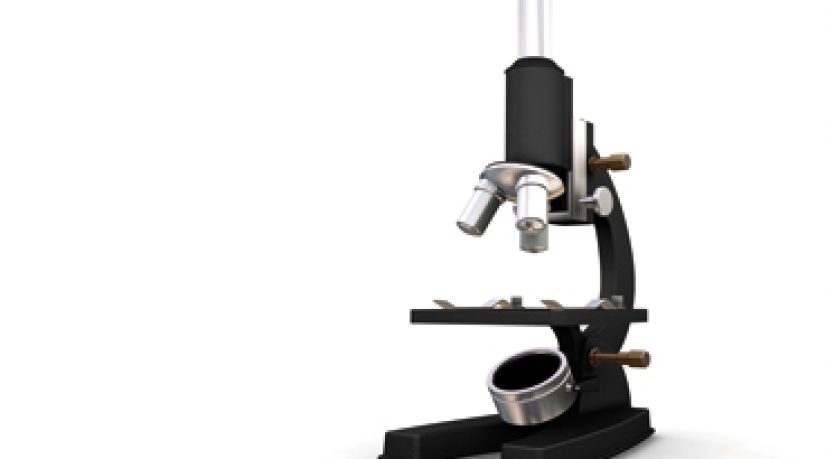 Dossier affaires publiques conseil regional satt