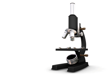 Dossier affaires publiques conseil regional satt