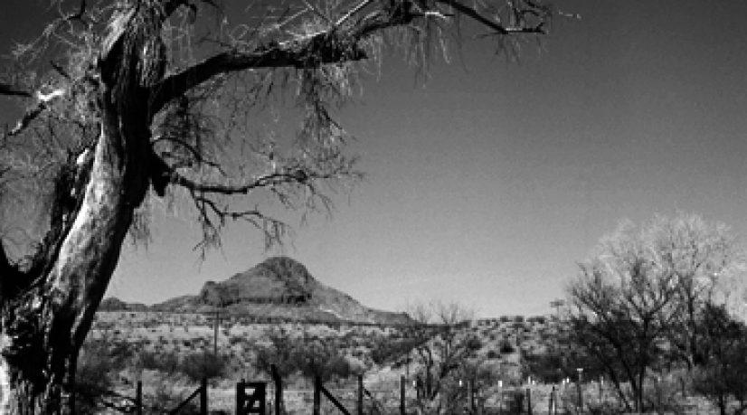 Un paysage en noir et blanc d'une montagne