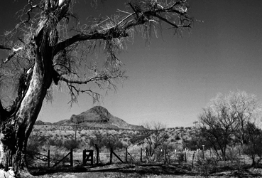 Un paysage en noir et blanc d'une montagne