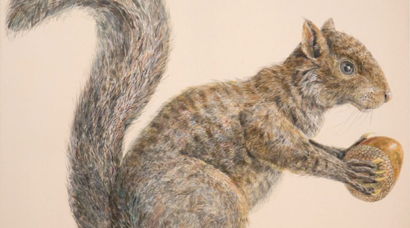 Don Nice - Squirrel - 1974 - Courtesy Galerie Catherine Houard