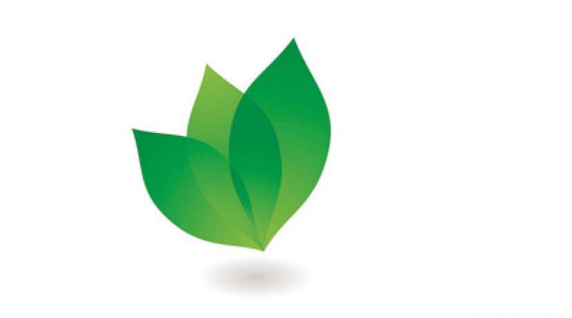 dossier-art-graphique