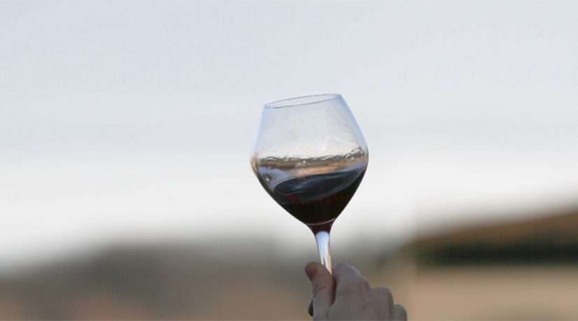 L-etrange-cycle-de-vie-d-un-grand-cru