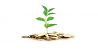Epargne éthique et solidaire, le goût de l’argent propre
