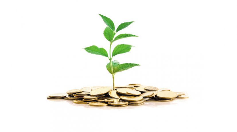 Epargne éthique et solidaire, le goût de l’argent propre