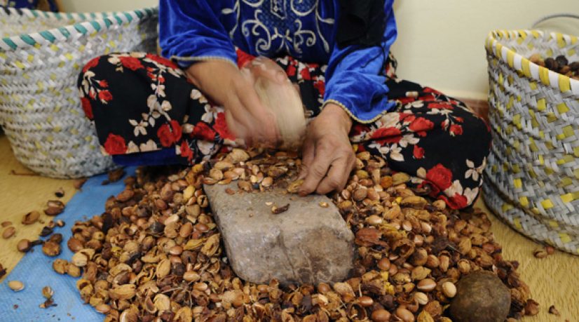 Le bel avenir des coopératives