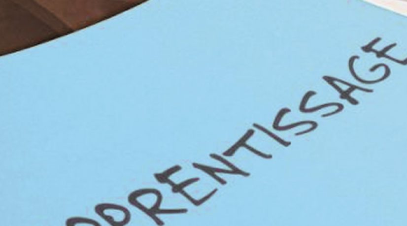 La généralisation à pas comptés de l'apprentissage