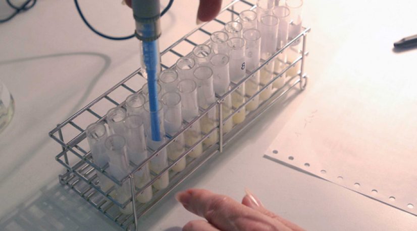 En chine, le marché noir des ovules humains