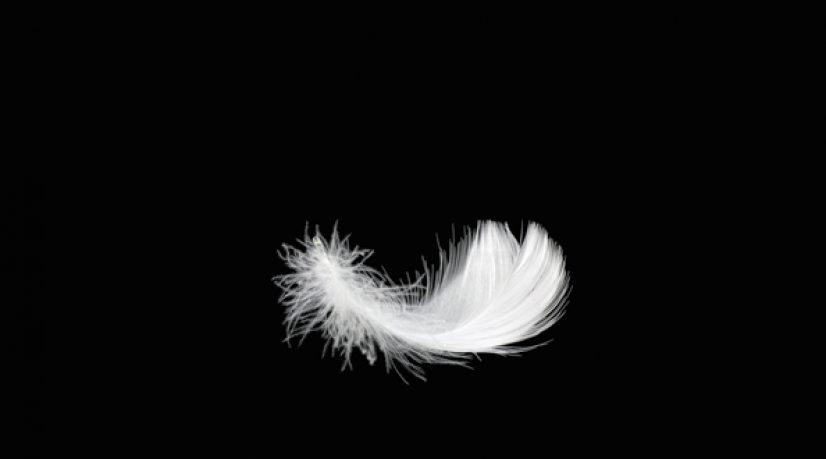 Couettes et oreillers haut de gamme, la plume de choix