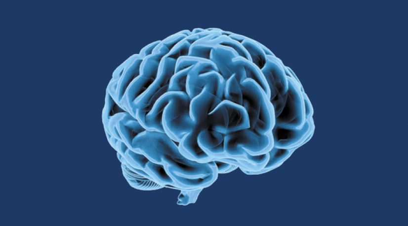 L'homme et l’algorithme