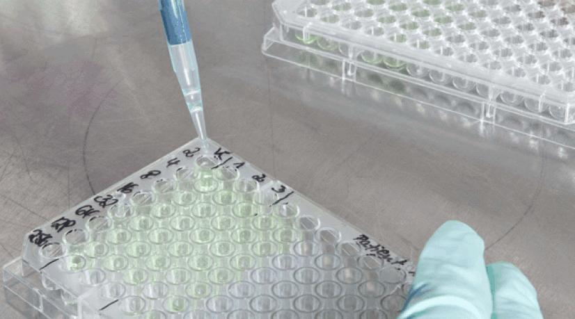 L'étau se resserre sur le cancer