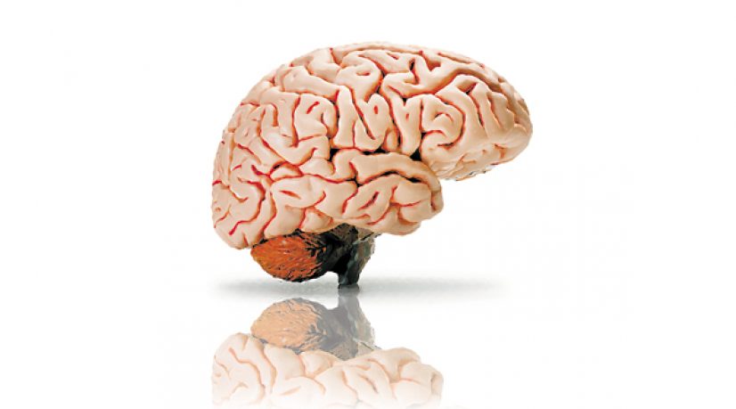 La garde montante du Lib-réalisme