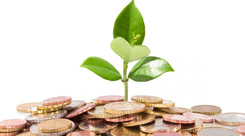 Écoles “lucratives” de l'enseignement supérieur, opération build-up