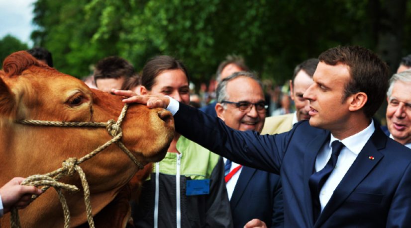 Sauver l'agriculture en péril à cause de la guerre des prix