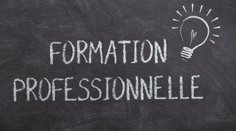 La réforme actuelle de la formation professionnelle