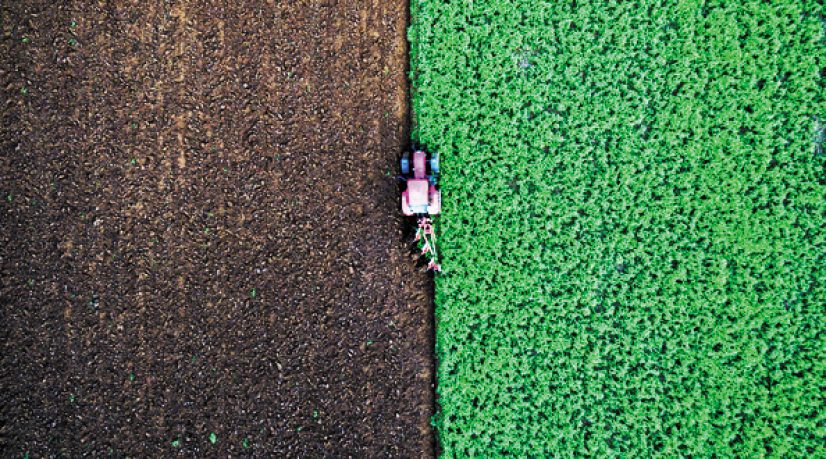 La fin du modèle agricole unique
