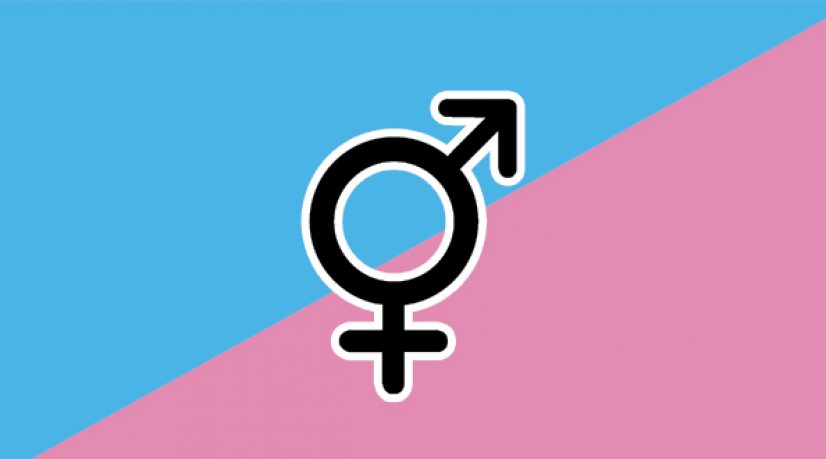 Femmes économistes contre macho economicus