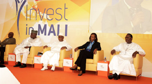 Invest in Mali