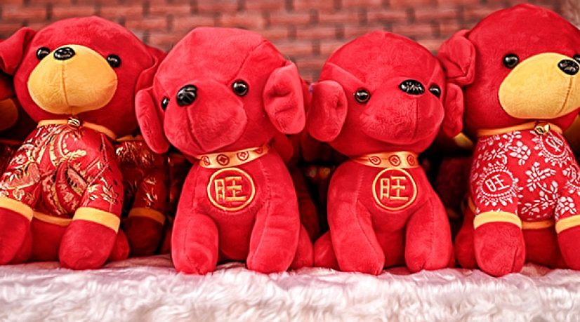 La Chine, les chiens et leur statut