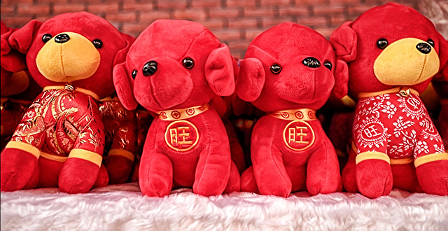 La Chine, les chiens et leur statut