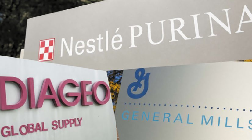 Consommation de masse : grandes marques contre petits nouveaux